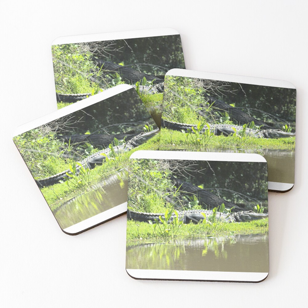 Item preview, Coasters (Set of 4) designed and sold by RScaptor.