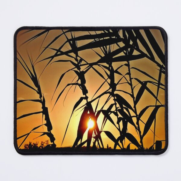 Item preview, Fantastic sunset behind bamboo fronds - photo design designed and sold by kikidu21.