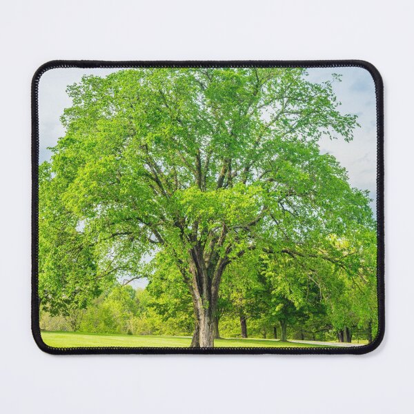 Item preview, Large Elm Tree designed and sold by mljdwhite.