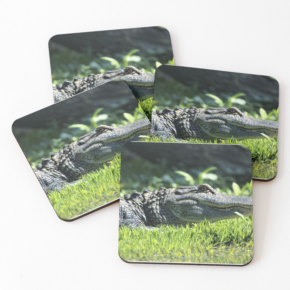 Item preview, Coasters (Set of 4) designed and sold by RScaptor.