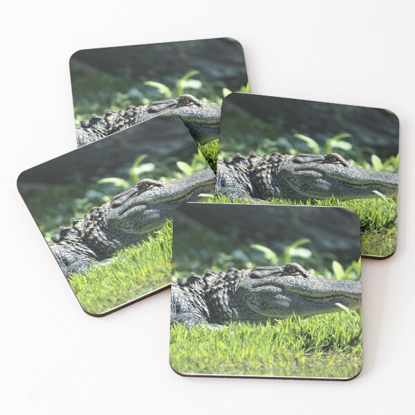 Item preview, Alligator Grin designed and sold by Ryan Stephens.