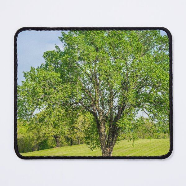 Item preview, Grand Elm Tree designed and sold by mljdwhite.