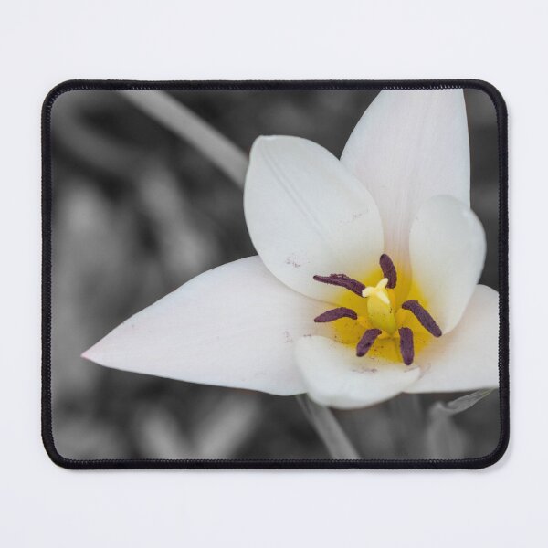 Item preview, Lady Tulip Selective Color designed and sold by mljdwhite.