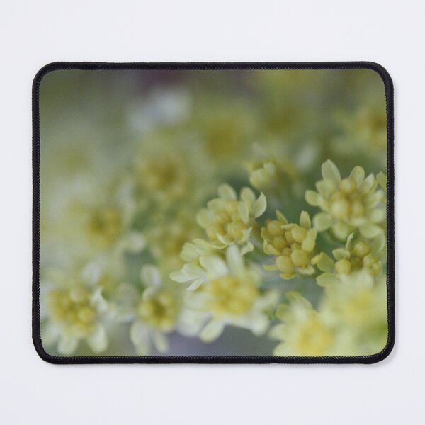 Item preview, Little Yellow Flowers designed and sold by KOneillPics.