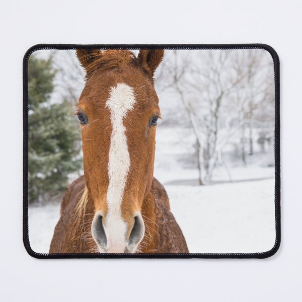 Item preview, Straight On Horse designed and sold by mljdwhite.