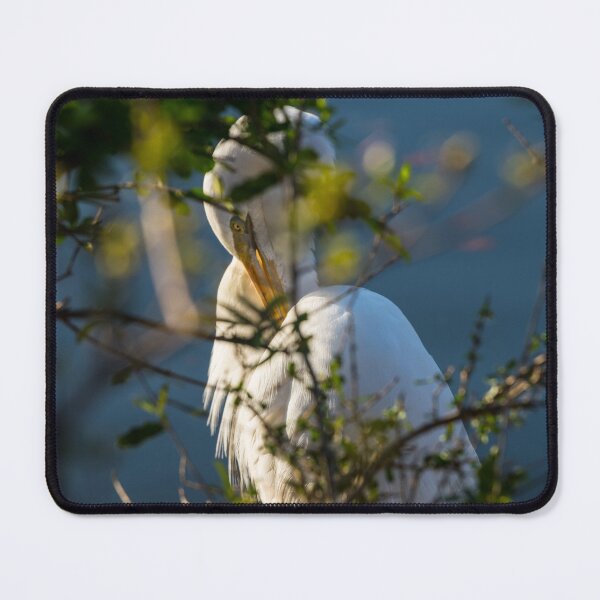 Item preview, Egret Grooming Behind The Bush designed and sold by mljdwhite.