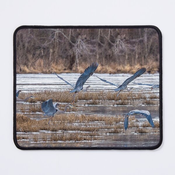 Item preview, Great Blue Heron Collage designed and sold by mljdwhite.