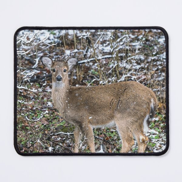 Item preview, Female Teen Deer In The Snow designed and sold by mljdwhite.