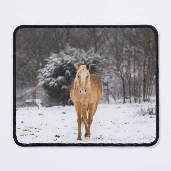 Item preview, Blonde Horse Walk In The Snow designed and sold by mljdwhite.