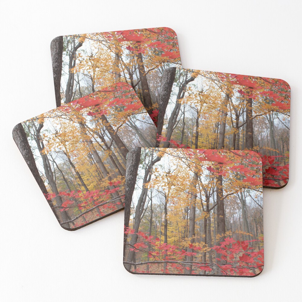 Item preview, Coasters (Set of 4) designed and sold by KOneillPics.