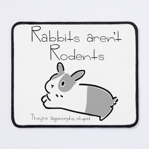Item preview, Rabbits Aren’t Rodents designed and sold by Janie-O.