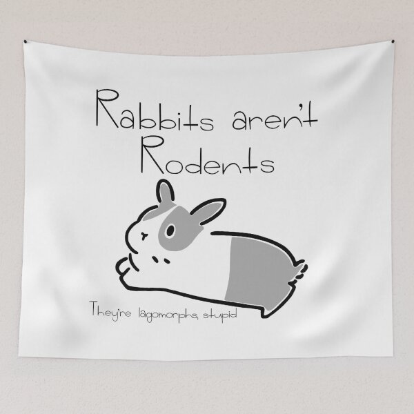 Item preview, Rabbits Aren’t Rodents designed and sold by Janie-O.