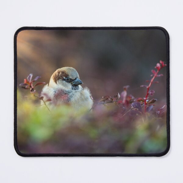 Item preview, Sunlight Bathing Finch designed and sold by mljdwhite.