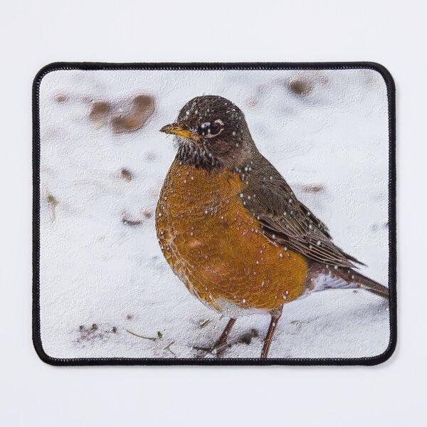 Item preview, Winter Robin designed and sold by mljdwhite.