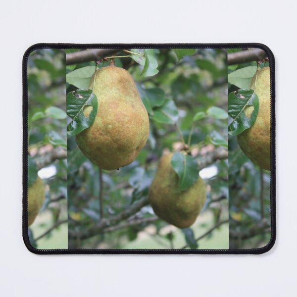 Item preview, Bosc pears designed and sold by chstudios.