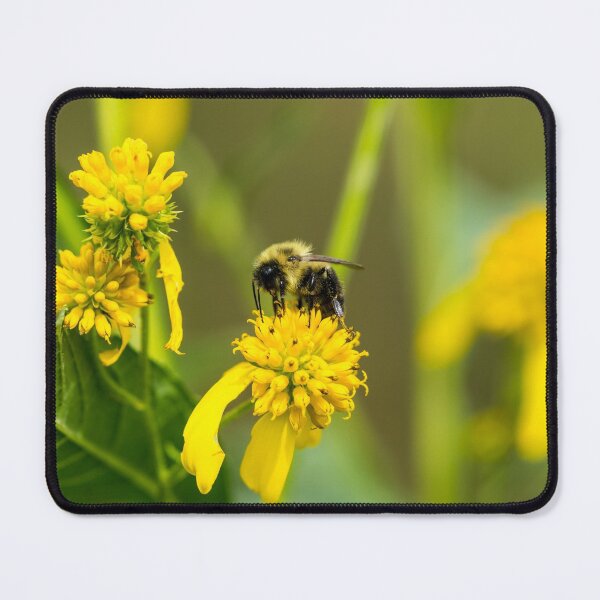 Item preview, Bumblebee designed and sold by mljdwhite.