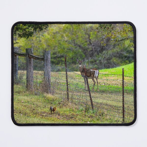 Item preview, Deer And A Squirrel Painterly designed and sold by mljdwhite.