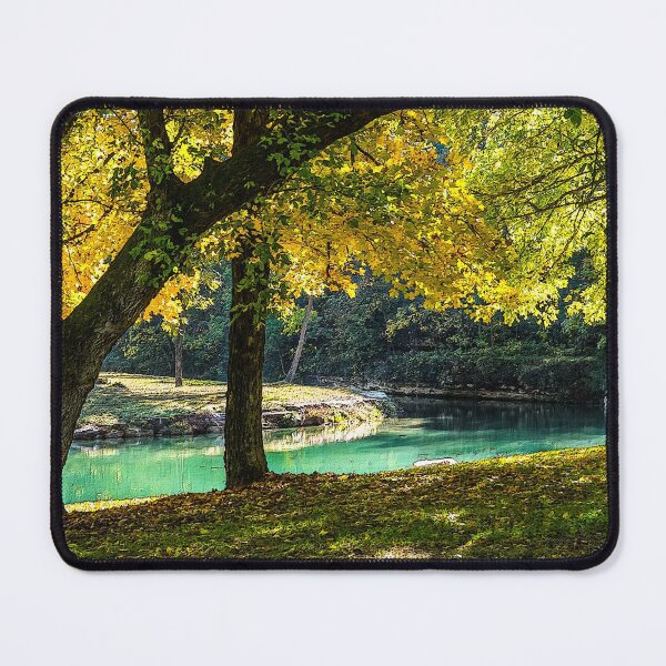 Item preview, A Place Under The Shade Tree designed and sold by mljdwhite.