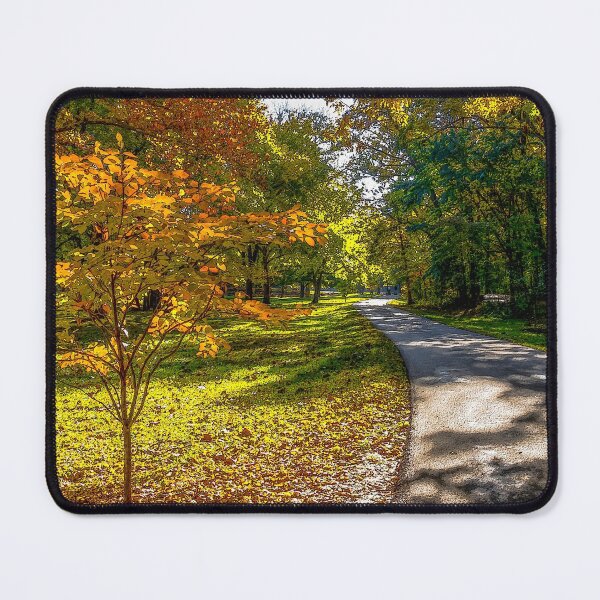 Item preview, Autumn Shadows Walkway Painterly designed and sold by mljdwhite.