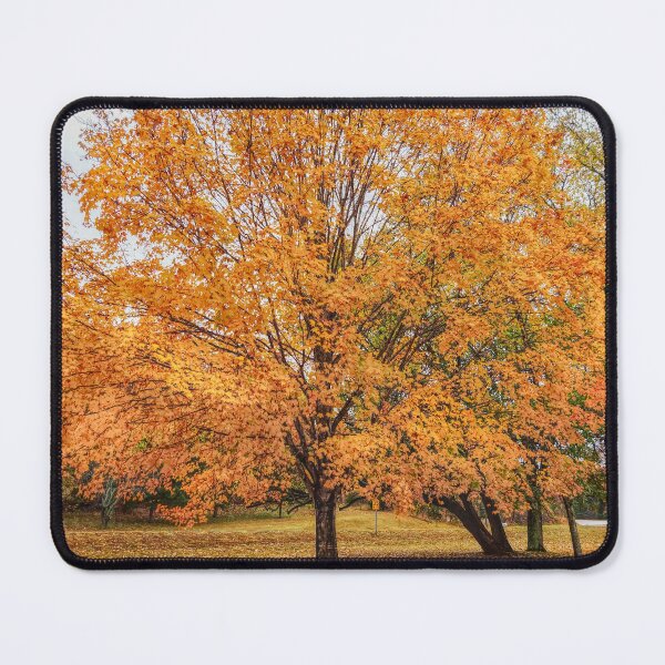 Item preview, Orange Sugar Maple designed and sold by mljdwhite.