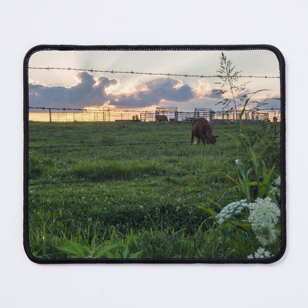Item preview, Sunset Over The Cattle Farm designed and sold by mljdwhite.