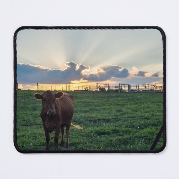 Item preview, Cattle Farm Sunset designed and sold by mljdwhite.
