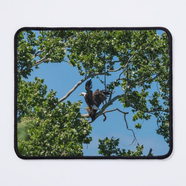 Item preview, Bringing In Nesting designed and sold by mljdwhite.