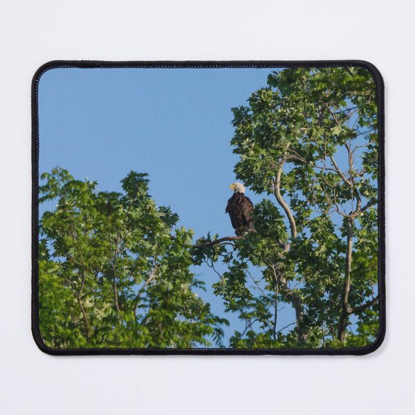 Item preview, Proud American designed and sold by mljdwhite.