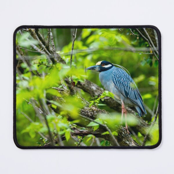 Item preview, Yellow Crowned Heron designed and sold by mljdwhite.