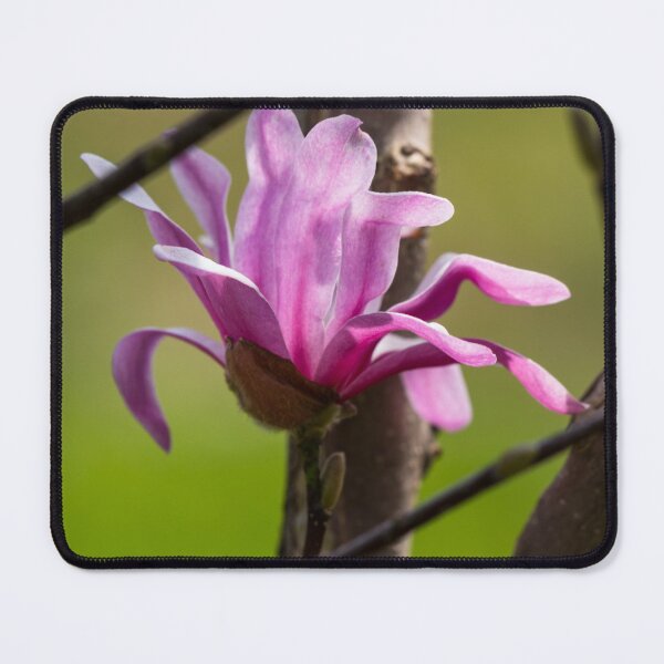 Item preview, Growing Upwards designed and sold by mljdwhite.