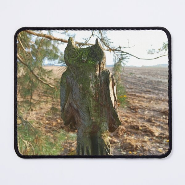 Item preview, Whoot Old Sculpture of an owl carved in a tree trunk photography designed and sold by EllianhPi.