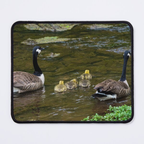 Item preview, Family Outing designed and sold by mljdwhite.