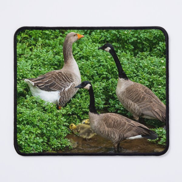 Item preview, Protected designed and sold by mljdwhite.