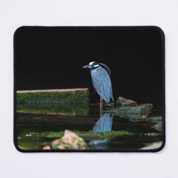 Item preview, Yellow Crowned Heron designed and sold by mljdwhite.