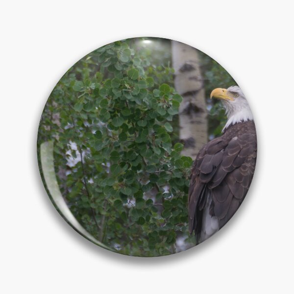 Item preview, Bald Eagle designed and sold by Gary Lengyel.
