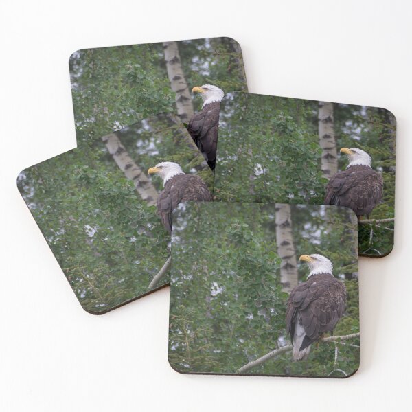 Item preview, Bald Eagle designed and sold by Gary Lengyel.