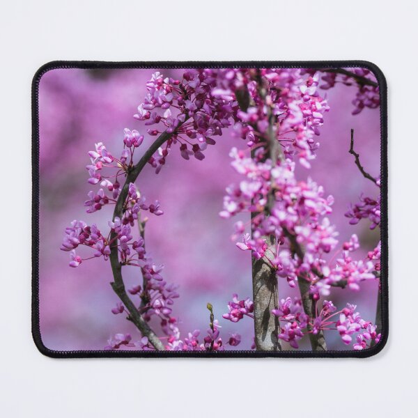 Item preview, Avondale Redbud Art designed and sold by mljdwhite.