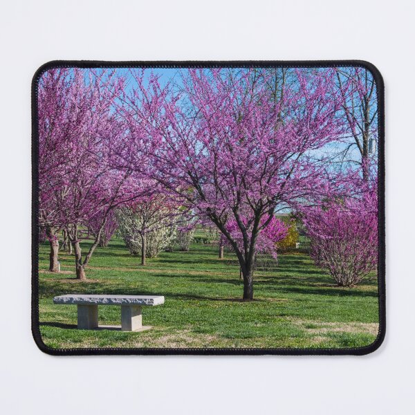 Item preview, Have A Spring Seat designed and sold by mljdwhite.