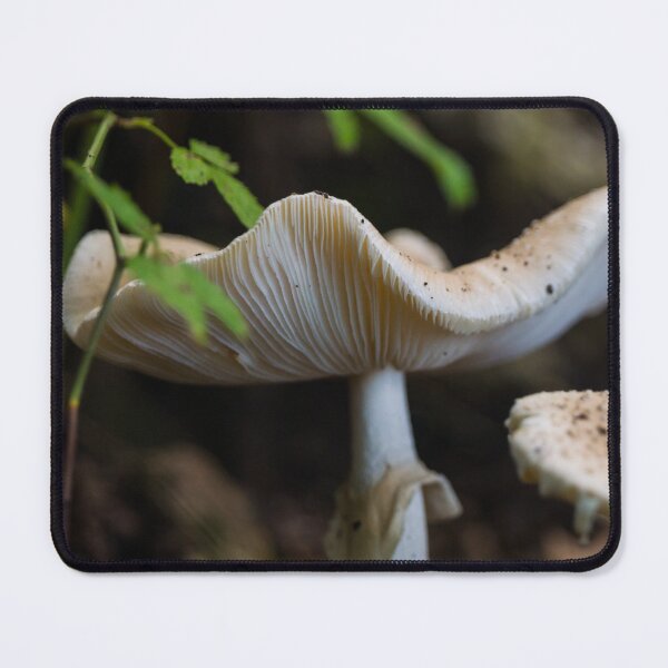 Item preview, Toadstool Umbrella designed and sold by mljdwhite.