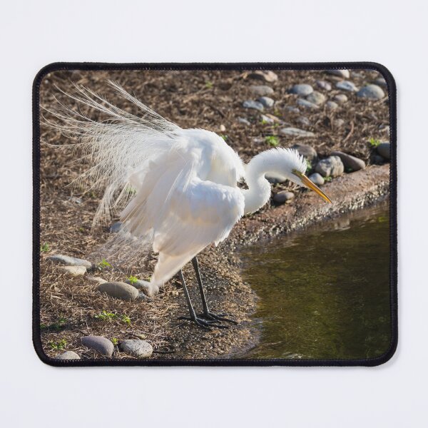 Item preview, Egret Show Off designed and sold by mljdwhite.