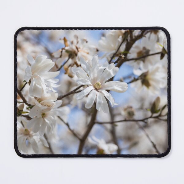 Item preview, Star Magnolia Bloomed Tree designed and sold by mljdwhite.