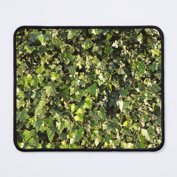 Item preview, Green Ivy Leaves photography designed and sold by EllianhPi.