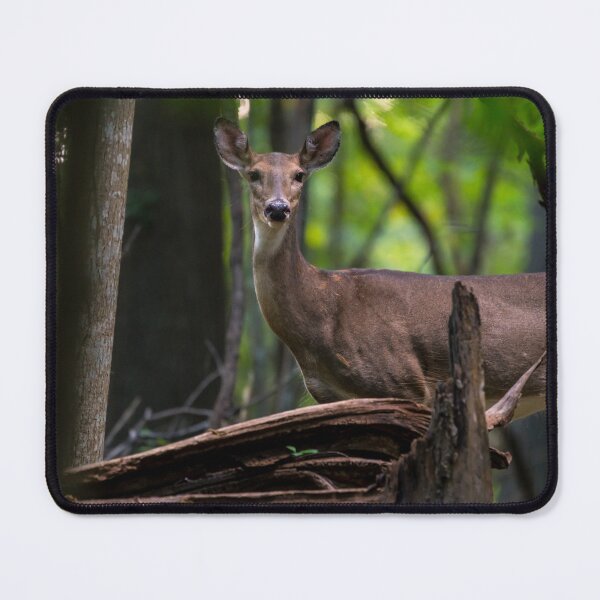 Item preview, Checking You Out designed and sold by mljdwhite.