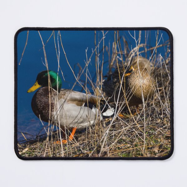Item preview, Mallards In Disguise designed and sold by mljdwhite.