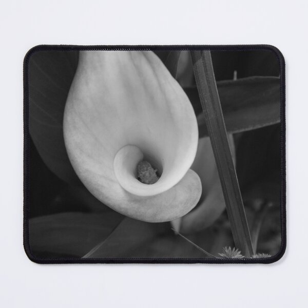Item preview, Calla Roll Grayscale designed and sold by mljdwhite.