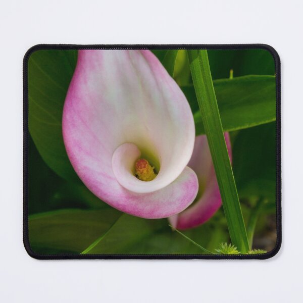 Item preview, Calla Roll designed and sold by mljdwhite.