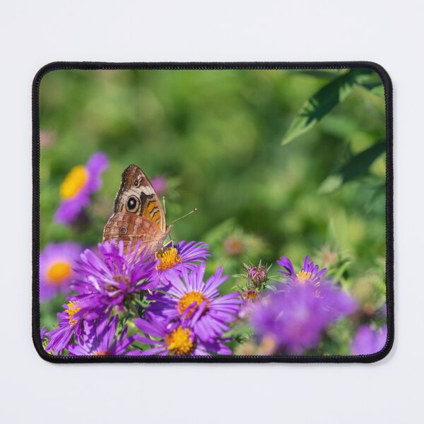 Item preview, Buckeye On Aster designed and sold by mljdwhite.