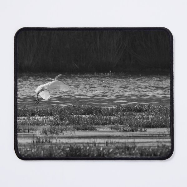 Item preview, Graceful White Egret Grayscale designed and sold by mljdwhite.