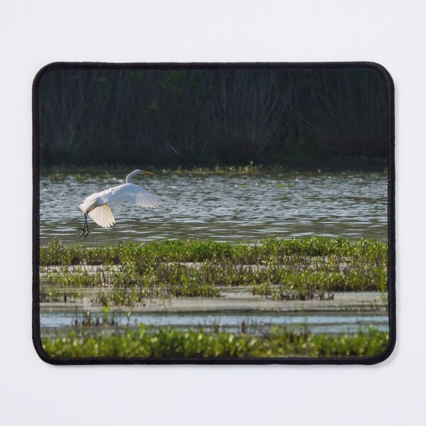 Item preview, Graceful White Egret designed and sold by mljdwhite.