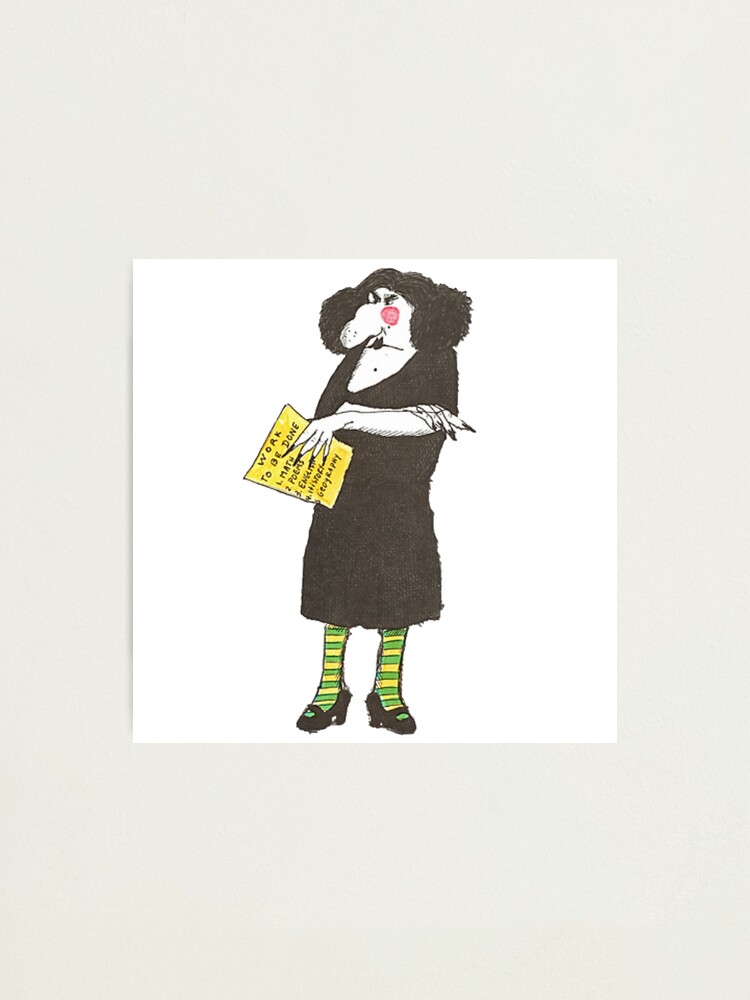 Viola Swamp Photographic Print